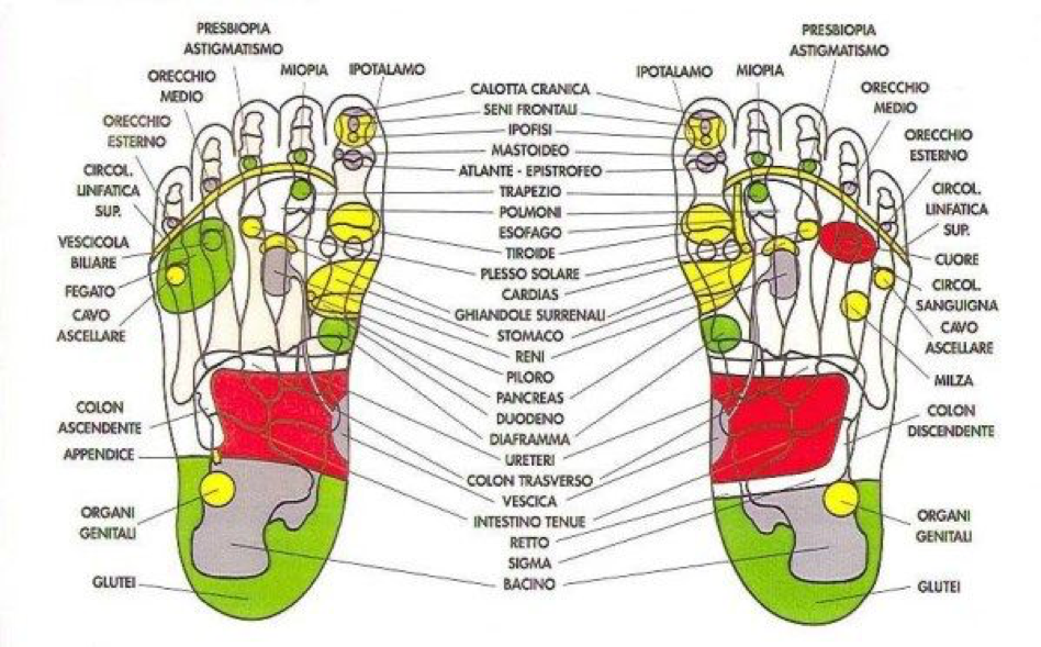 Riflessologia plantare: benefici e prova il massaggio alla Pineta SPA